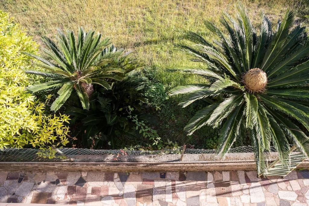 شقة Art Of Living 100 Meters From The Sea. مارينا دي بييتراسانْت المظهر الخارجي الصورة